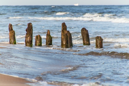 Old coastal protection with a breakwater.  Wooden stakes in the sea. Autumn morning on the beach of the Baltic Seaの写真素材