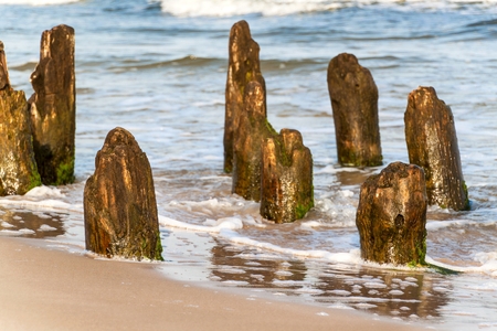 Old coastal protection with a breakwater.  Wooden stakes in the sea. Autumn morning on the beach of the Baltic Seaの写真素材