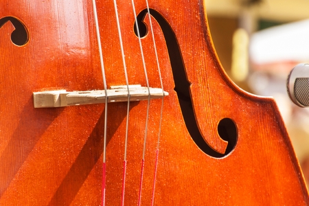 Detail of bass musical instrument. Artistic performances at folk festivals. Traditional musical instrumentの写真素材