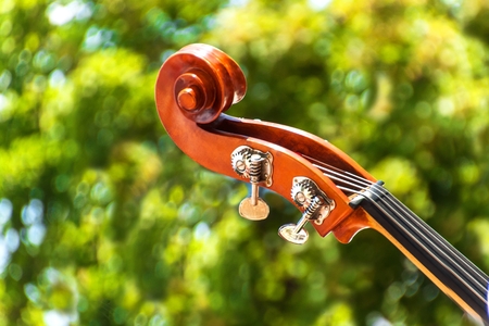 Close-up of a bass over green blurred background. Color detail with the head of a vintage double...