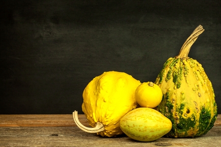 Thanksgiving background. Thanksgiving day or seasonal autumnal. Pumpkins against a rustic, weathered wood background. Autumn pumpkins on wooden table. View with copy spaceの写真素材