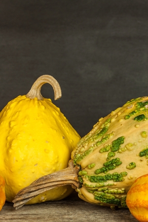 Thanksgiving background. Thanksgiving day or seasonal autumnal. Pumpkins against a rustic, weathered wood background. Autumn pumpkins on wooden table. View with copy spaceの写真素材