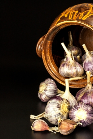 Open garlic on black background table. Whole and split fresh garlic on white background. Traditional flu and cold treatment. Aromatic spicesの写真素材