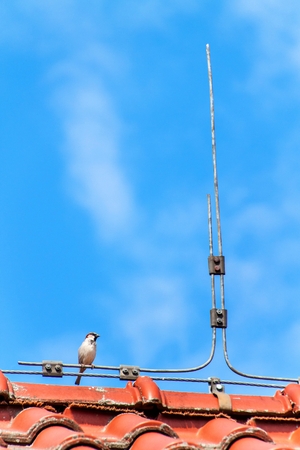 Detail of lightning house on the roof of a house. Lightning Protection Componentsの写真素材
