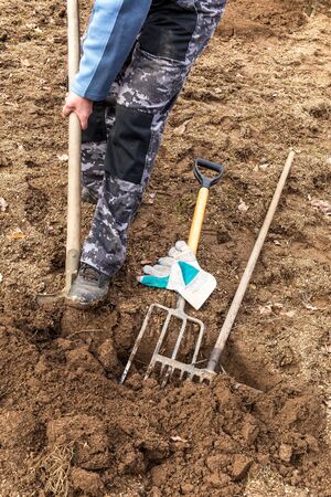 Digging spring soil with shovel. Spade, pitchfork and rake. Man dig a shovel in the garden. Agricultural work. Gardening. の写真素材
