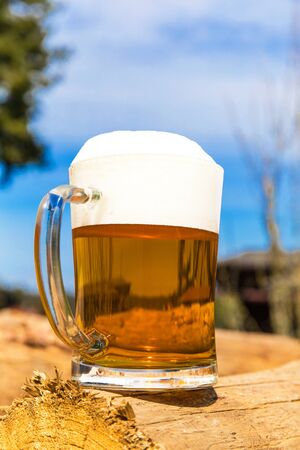 mug with beer on a pile of logs near the forest. Beer in a glass. Cold refreshment in the countryside.の写真素材