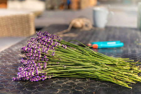 Lavender harvest. Bouquet of lavender flowers decorated with lace on table. Copy space for text.の写真素材