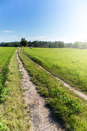 Czech Republic summer landscape with country road. Rural farm field road landscape.の写真素材