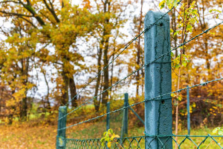 Barbed wire. Barbed wire on fence with blue sky. Fenced farm. An autumn day. Property protection.の写真素材