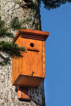 Handmade wooden birdhouse on the tree in the park. Shelter for birds
