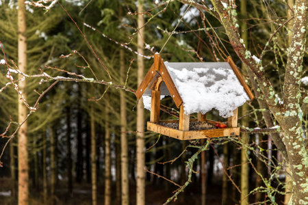 Wooden bird feeder in a snowy landscape. Feeding for birds. Bird feeder on the edge of the forest.の写真素材