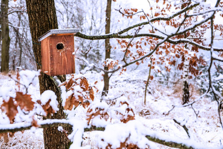 Birdhouse in winter. The snow on the birdhouse. Frosty winter morning. Shelter for birds. Ecology concept.の写真素材