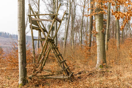 Hunting tower in beech forest. Autumn hunting. Hunting season in Czech Republic. Hunting wild pigs.の写真素材