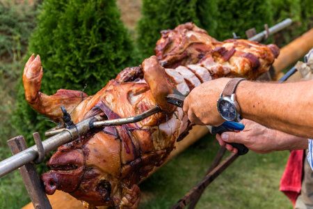 Chef Hands cutting whole grilled pork for steaks with knife. Whole roasted piglet body turning on grill. Large barbecue in the process of cooking meat.の写真素材