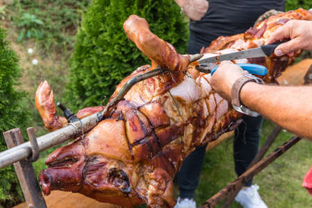 Chef Hands cutting whole grilled pork for steaks with knife. Whole roasted piglet body turning on grill. Large barbecue in the process of cooking meat.の写真素材