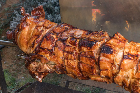 Barbecue with young pig on a grill with wooden coal. Whole roasted piglet body turning on grill. Large barbecue in the process of cooking meat.の写真素材