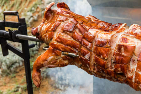 Barbecue with young pig on a grill with wooden coal. Whole roasted piglet body turning on grill. Large barbecue in the process of cooking meat.の写真素材