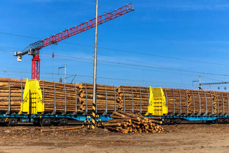 Wagons laden with wood in Czech Republic. Timber trading.Freight wagons laden with wood. Transportation of timber by rail. Timber transport.の写真素材