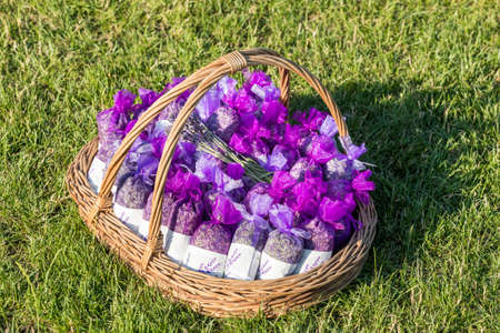 Lavender buds dry flower sachet scented bags, purple organza bag with natural dried lavender flowers in a basket on a meadow. Aromatherapy.の写真素材
