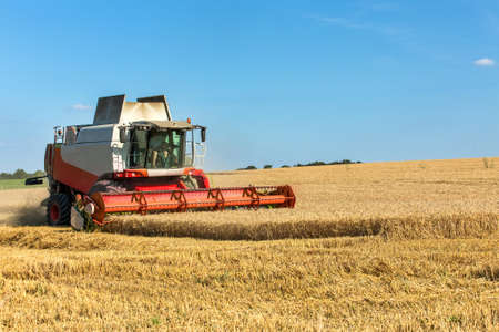 Harvesting wheat with a combine harvester. Agriculture. Growing wheat. Grain trading.の写真素材
