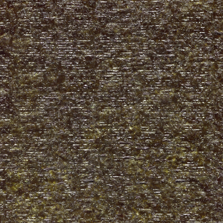 Nori texture. Back sideの写真素材