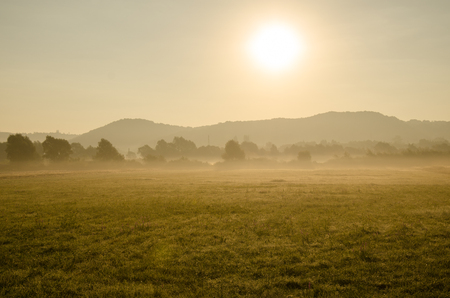 Golden field in morning sunの写真素材