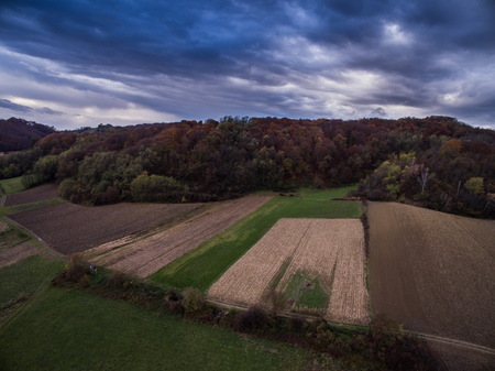 agricultural fields on the edge of forest under moody skyの写真素材