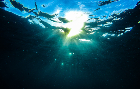 Underwaterの写真素材