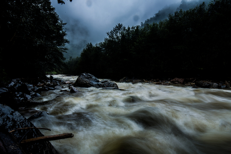 beautiful long exposure view of small river in green forestの写真素材