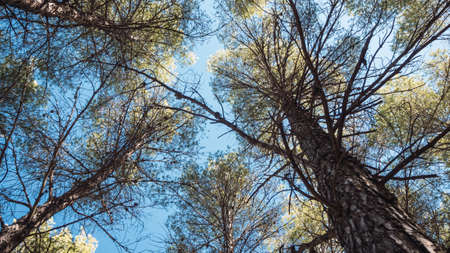 Reservoir in the forest on the Ruta de las Farasの写真素材
