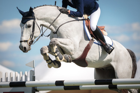 Equestrian Sports Equestrian Sports