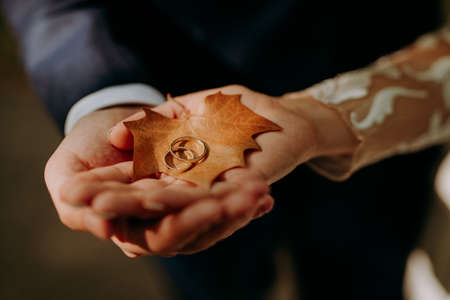 gold wedding rings on autumn leaf