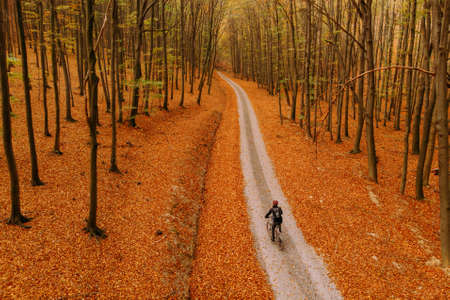 Pathway through the autumn forest with cyclistの写真素材