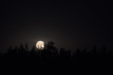 Full moon over the forest at night. Beautiful landscape with full moon.の写真素材