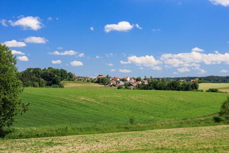 Meadow with trees and bright blue sky, scenic landscape. Theme wallpaper, texture, nature, sunny dayの写真素材