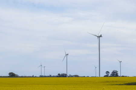 Aeolian Park in Uruguay - Green energy