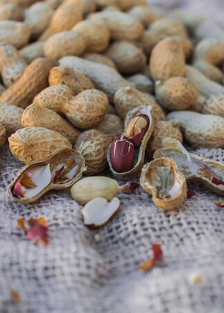 Peanuts (Arachis hypogaea) on sack surfaceの写真素材