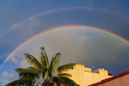 Rainbow arch with sunset light, over building and palm leavesの写真素材
