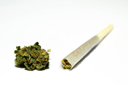 Joint and bud of medical marijuanaの写真素材
