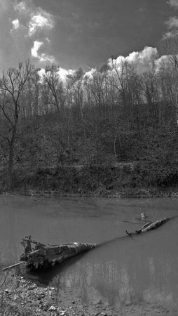 Old piece of tree submerged in water black and whiteの写真素材