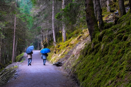 Two old people walking in the woodの写真素材