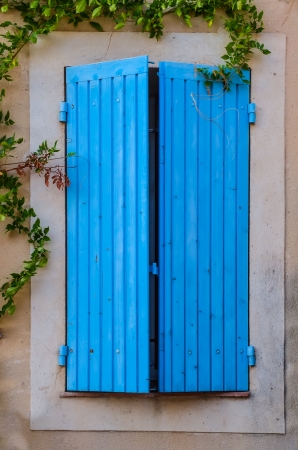 Blue closed window in the wall with green plantsの写真素材