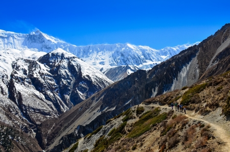 Group of mountain trekkers backpacking in Himalayas landscape, Nepalの写真素材