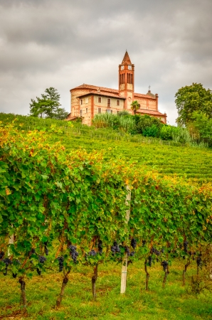 Scenic view of vineyards and old church in Piemont area, La Morra, Italyの写真素材