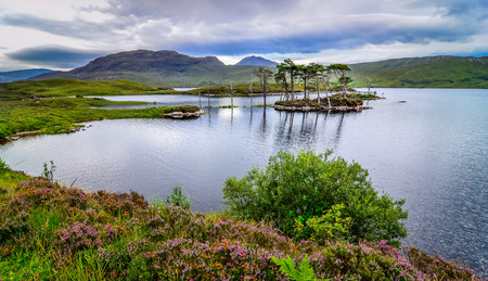 Landscape view of trees in a lake at Scottish highlands, United Kingdomの写真素材