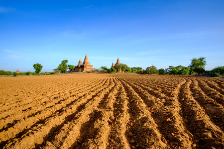 Landscape view of ancient temples and field with leading lines, Bagan, Myanmarの写真素材