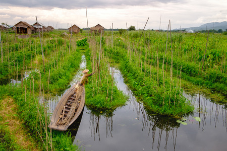 Landscape view of floating gardens on Inle lake with the farmer, Myanmar (Burma)の写真素材