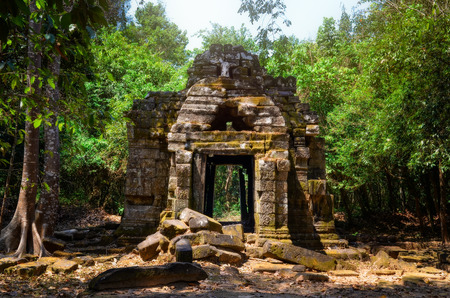 Ancient stone temple ruins in the jungle, Angkor Wat, Cambodiaの写真素材