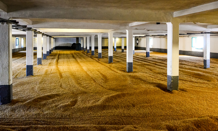 Barley malt on malting floor in distillery, Scotland, United Kingdomの写真素材