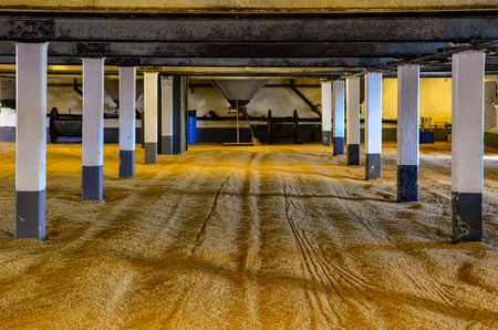 Barley malt on malting floor in the distillery, whisky making process, Scotland, United Kingdomの写真素材